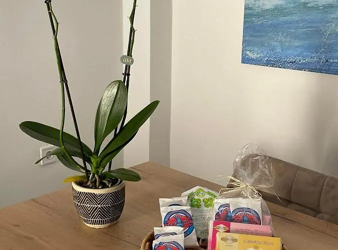 Modern Loft Syros 公寓